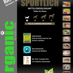 Sportlich